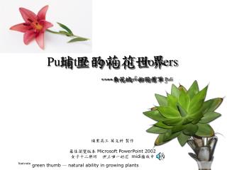 埔里的花花世界 ---- 來花城 「 拈花惹草 」