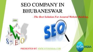SEO Company in Bhubaneswar The Best Solution for Assured W