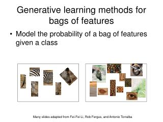 Generative learning methods for bags of features