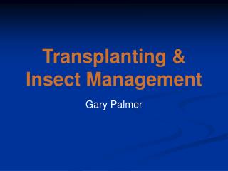 Transplanting &amp; Insect Management