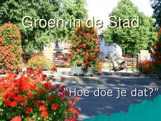 Groen in de Stad