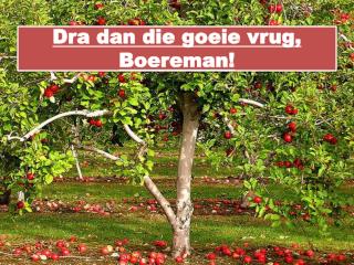 Dra dan die goeie vrug , Boereman !