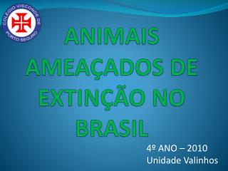 ANIMAIS AMEAÇADOS DE EXTINÇÃO NO BRASIL