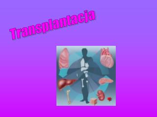 Transplantacja