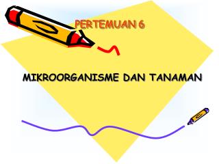 PERTEMUAN 6
