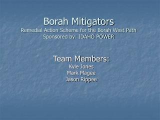 Borah Mitigators Remedial Action Scheme for the Borah West Path Sponsored by: IDAHO POWER