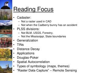 Reading Focus