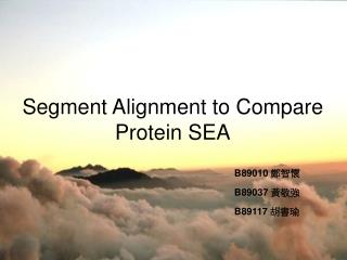 Segment alignment SEA