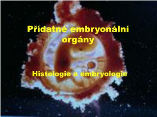 Přídatné embryonální orgány
