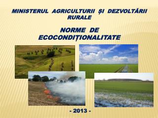 MINISTERUL AGRICULTURII ȘI DEZVOLTĂRII RURALE