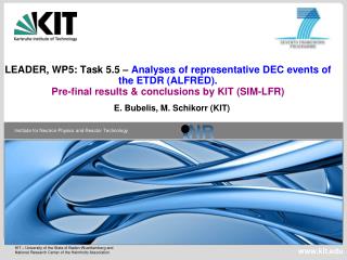 E. Bubelis, M. Schikorr (KIT)