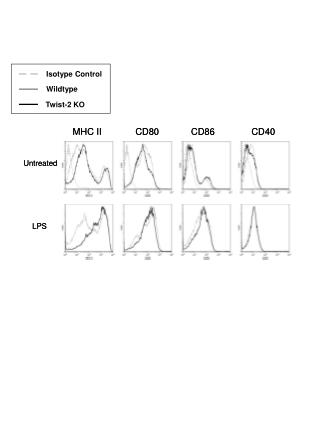 Isotype Control