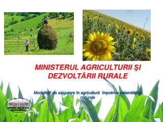 MINISTERUL AGRICULTURII Ş I DEZVOLT Ă RII RURALE