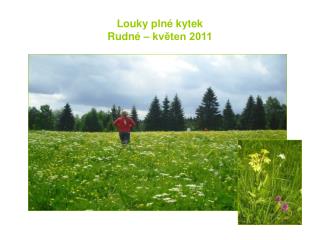 Louky plné kytek Rudné – květen 2011