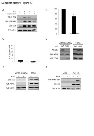 Supplementary Figure 5