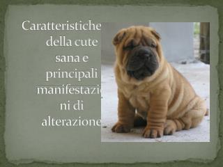 Caratteristiche della cute sana e principali manifestazioni di alterazione