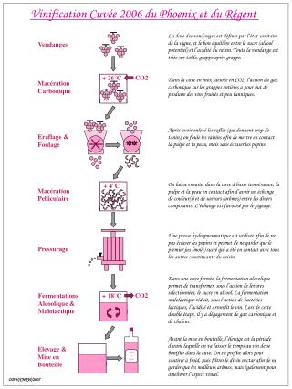 Vinification Cuvée 2006 du Phoenix et du Régent