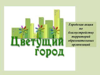 Городская акция по благоустройству территорий образовательных организаций