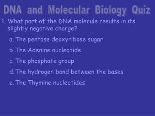 DNA and Molecular Biology Quiz