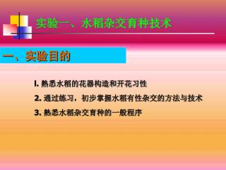 实验一、水稻杂交育种技术