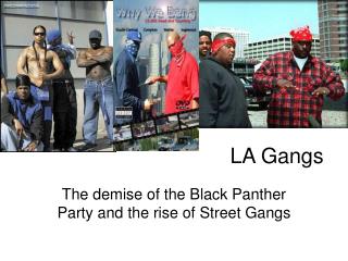 LA Gangs