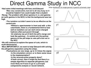 Direct Gamma Study in NCC