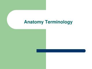 Anatomy Terminology