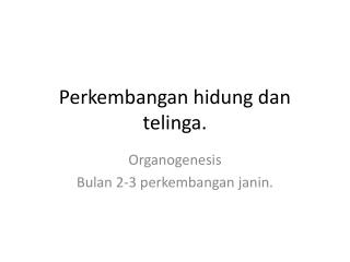 Perkembangan hidung dan telinga.