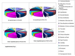 Up regulated genes PLW vs PLC