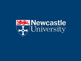 Theme A6: CO 2 Transport Infrastructure Newcastle University