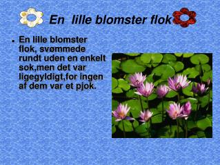 En lille blomster flok