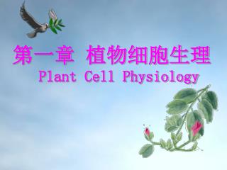 第一章 植物细胞生理 Plant Cell Physiology