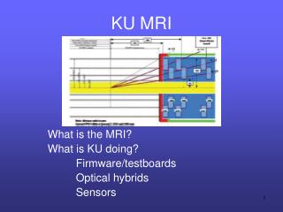 KU MRI