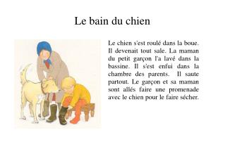 Le bain du chien