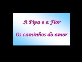 A Pipa e a Flor Os caminhos do amor