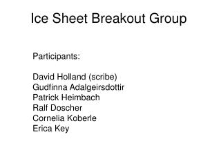 Ice Sheet Breakout Group