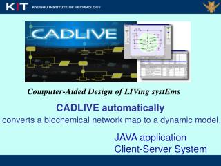 Computer-Aided Design of LIVing systEms