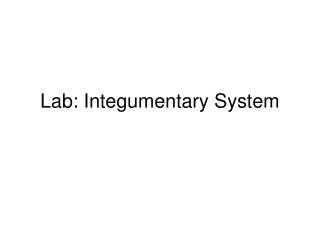 Lab: Integumentary System