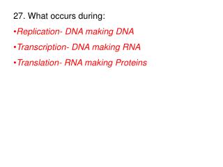 27. What occurs during: Replication- DNA making DNA Transcription- DNA making RNA
