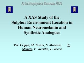 A XAS Study of the Sulphur Environment Location in Human Neuromelanin and Synthetic Analogues