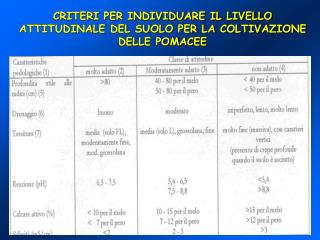 CRITERI PER INDIVIDUARE IL LIVELLO ATTITUDINALE DEL SUOLO PER LA COLTIVAZIONE DELLE POMACEE