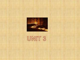 UNIT 3