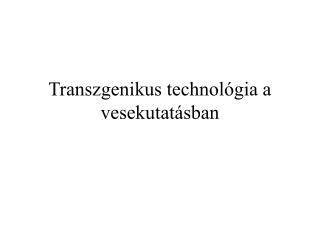 Transzgenikus technológia a vesekutatásban