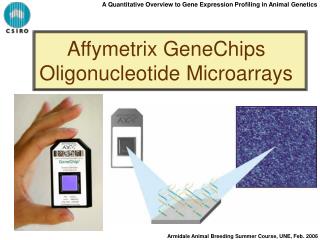 A Quantitative Overview to Gene Expression Profiling in Animal Genetics