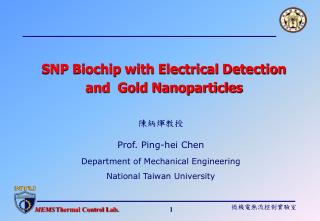 SNP Biochip with Electrical Detection and Gold Nanoparticles