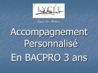 Lycée des Métiers Accompagnement Personnalisé En BACPRO 3 ans