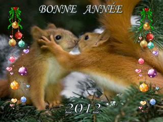 BONNE ANNÉE