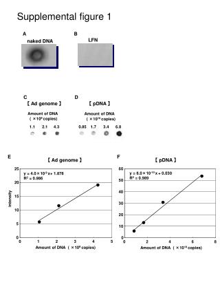 Supplemental figure 1