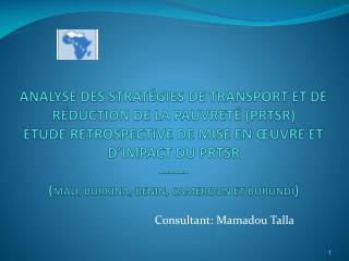 Consultant: Mamadou Talla