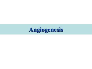 Angiogenesis